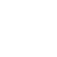 Non-Medical Transportation A white van is in the middle of a green circle.